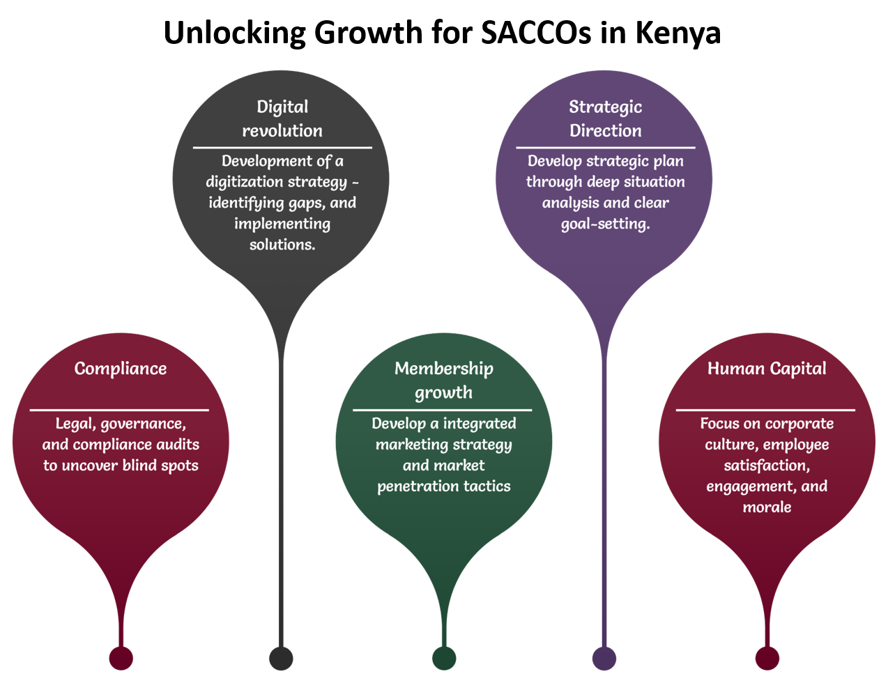 Unlocking Growth for SACCOs in Kenya: Overcoming Challenges with Expert Consulting